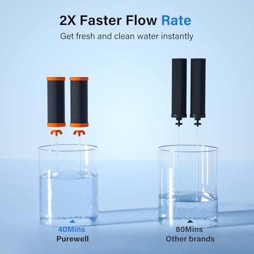 PF-3-FL Black 4-Stage Composite Carbon and Fluoride Reduction Filters, Compatible with Berlkey® Big+, ProOne® Big+ Gravity Water Filter Systems and Purewell Systems (2 Pack, K Series) (2 Count)