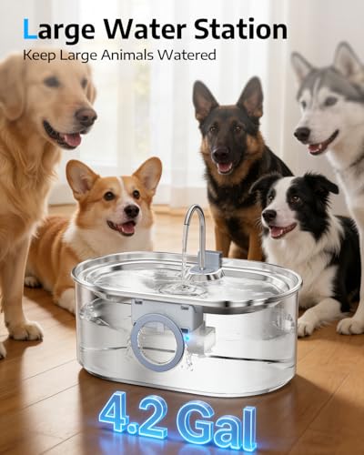 4.2Gal Dog Water Fountain for Large Dogs
