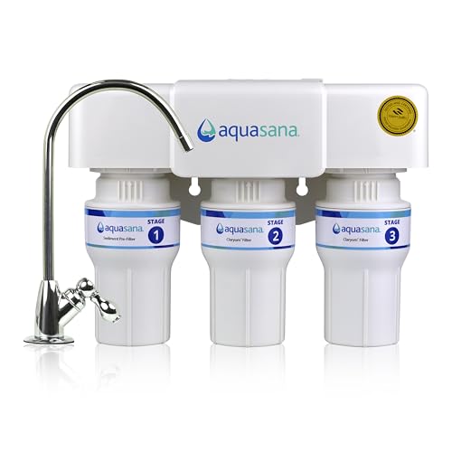 Under Sink Water Filter