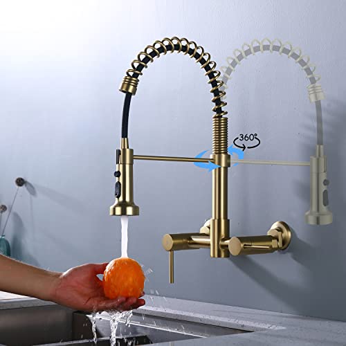 Wall Mount Kitchen Faucet