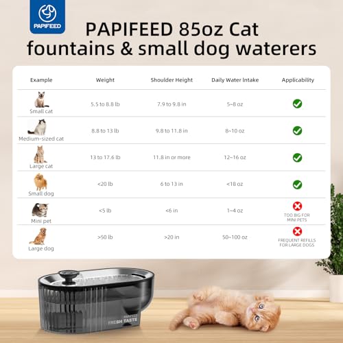 Cat Water Fountain Stainless Steel with a Silicone Mat