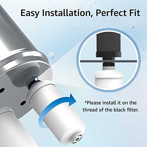 Fluoride Water Filter (2 Count)