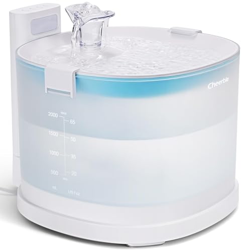 Pumpless Cat Water Fountain