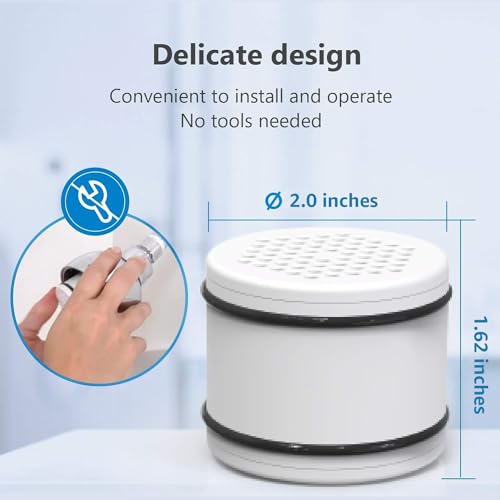WHR 140 Shower Filter (2 Count)