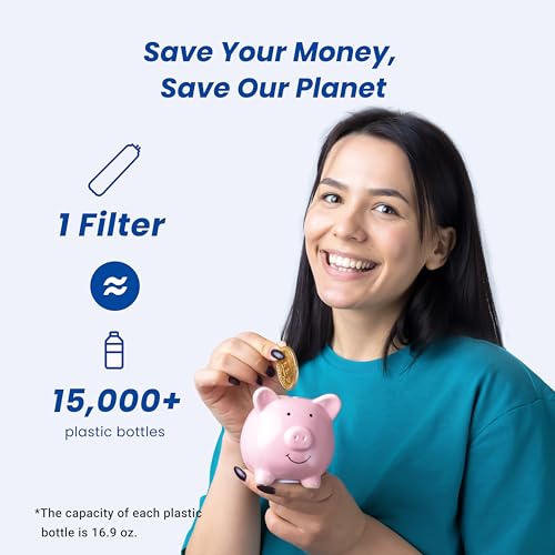 RC EZ 4 Filter Replacement for Culligan® RC (2 Count)
