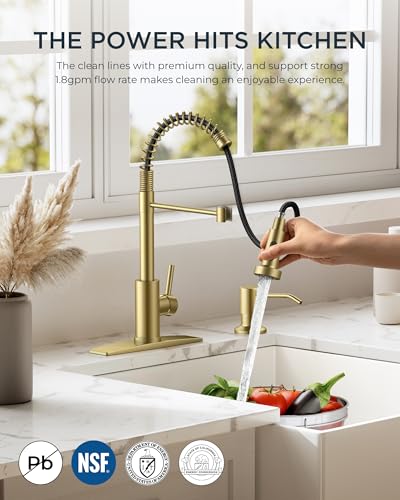 Gold Kitchen Faucet with Soap Dispenser