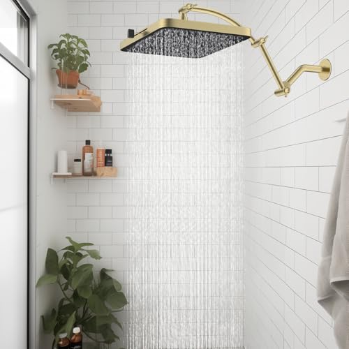 Rain Shower Head
