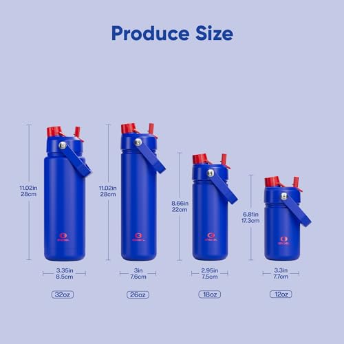Insulated Water Bottle with Straw Stainless Steel Water Bottle