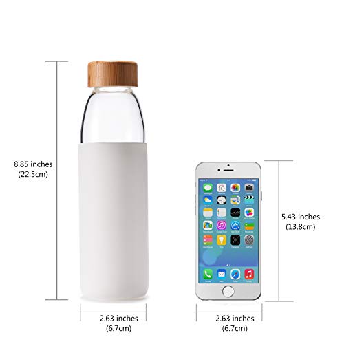 18 Oz Borosilicate Glass Water Bottles with Bamboo Lid