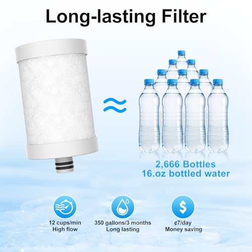 Stainless Steel Water Filter for Sink Faucet