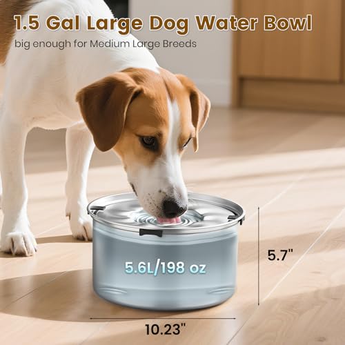 Dog Water Bowl No Spill