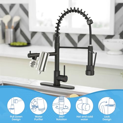 Black Kitchen Faucet with Water Filter
