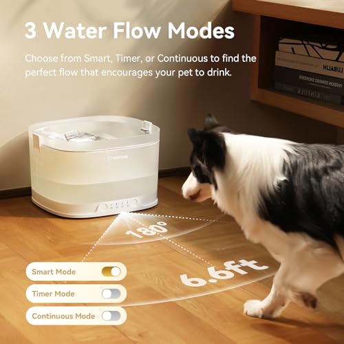 Pumpless Dog Water Elfin Fountain