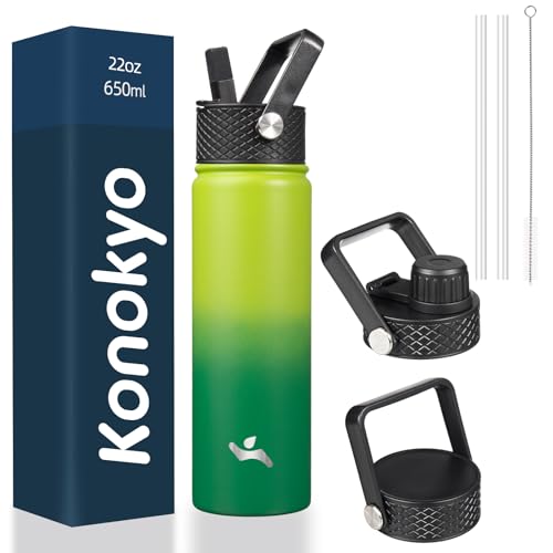 22 oz Insulated Stainless Steel Water Bottle with Straw Lid