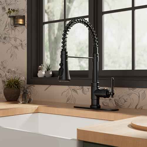 Vintage Black Kitchen Faucet with Pull Down Sprayer