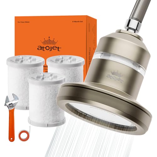 Core Shower Filter Shaped by Korea’s Beauty History