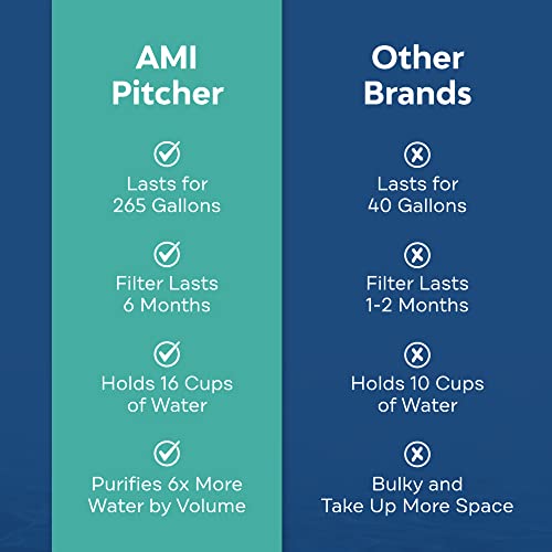 AMI Water Pitcher with Filter for Tap Water