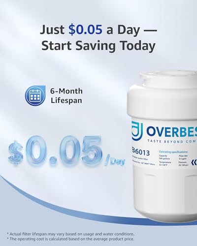 OB6013 Refrigerator Water Filter