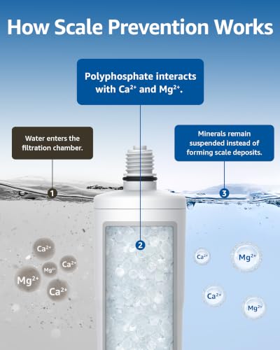 AP431 Whole House Scale Inhibitor Water Filter (3 Count)