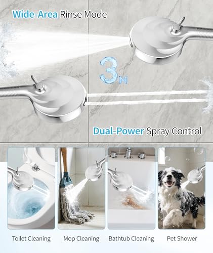 Filtered Shower Head with Handheld