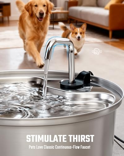 Dog Water Fountain Stainless Steel