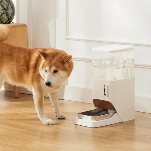 Automatic Dog Water Dispenser 8L with Stainless Steel Bowl
