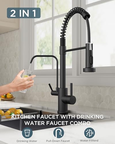 Black Kitchen Faucet with Purfied Water Filter