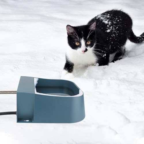 Automatic Water Dispenser for Dogs with Heater
