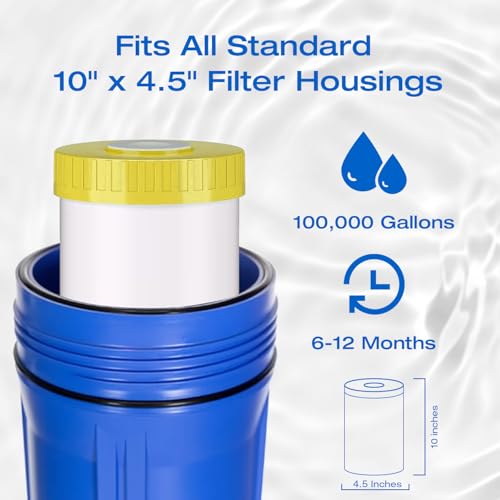 10" x 4.5" Whole House KDF and Carbon Water Filter