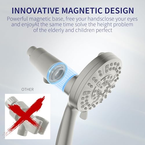 Handheld Shower Head with Filter