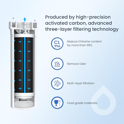 XWFE (Built-in CHIP) Refrigerator Water Filter Pack of 2 (2 Count)