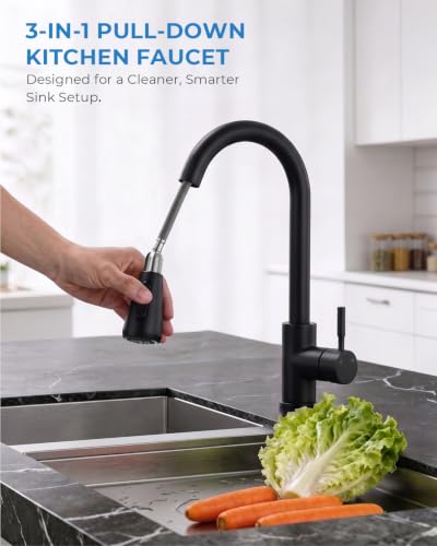 Black Kitchen Faucet with Pull Down Sprayer