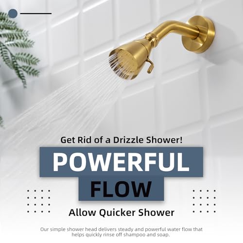 High Flow Shower Head Adjustable
