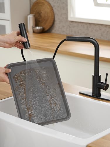 Kitchen Faucets with Pull Down Sprayer
