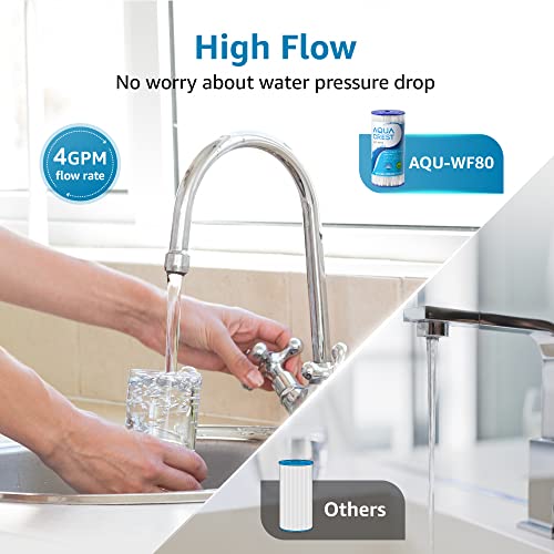 FXHSC Whole House Water Filter for GE® FXHSC (4 Count)
