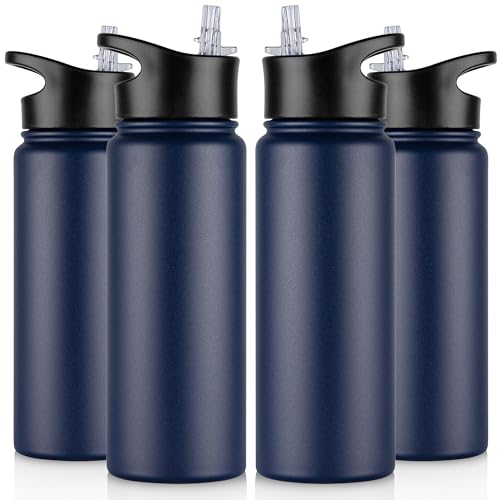 24 oz Insulated Water Bottle Bulk 4 Pack (4 Count)