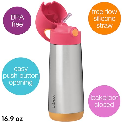 Insulated Water Bottle for Kids