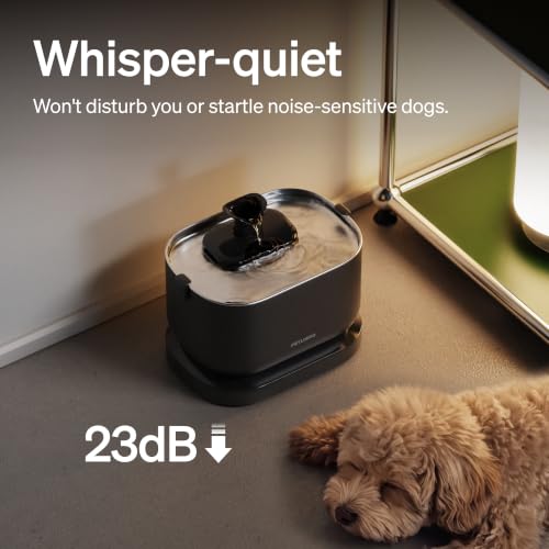 Small Dog Water Fountain