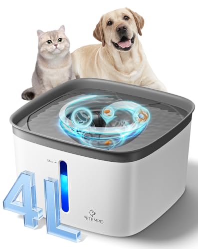 Cat Water Fountain