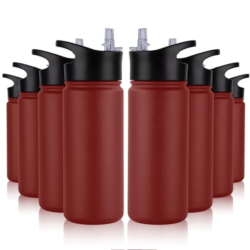 16 oz Insulated Water Bottle Bulk 8 Pack