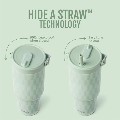 Oasis Go+ 26oz Insulated Stainless Steel Tumbler with Straw