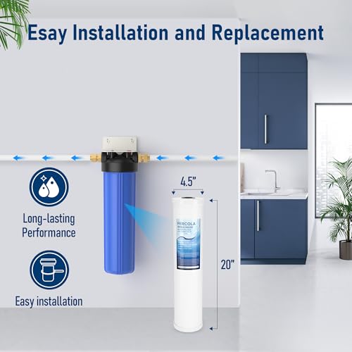 AP810-2 High-Capacity Whole-House Replacement Water Filter