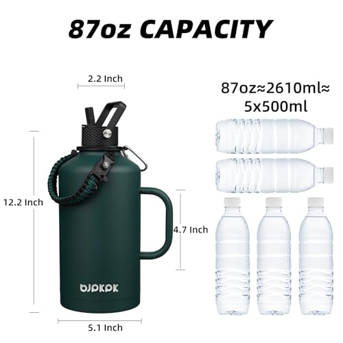 87oz Insulated Water Bottle with Straw Lid Stainless Steel Water Jug