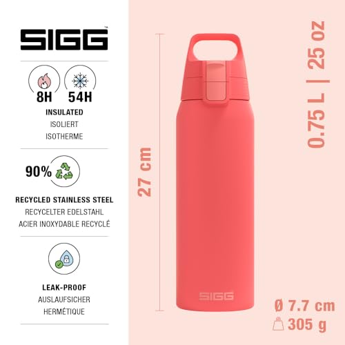 Insulated Water Bottle