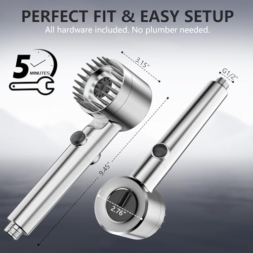 Filtered Shower Head with Handheld