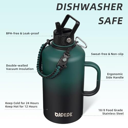 87oz Insulated Water Bottle with Straw Lid Stainless Steel Water Jug