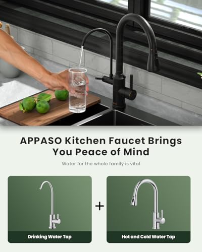 3 in 1 Kitchen Faucets with Water Filter