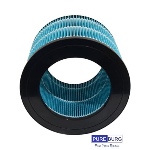 PEHUMEVA Replacement Filter Compatible with Pure Enrichment MistAire Eva 4