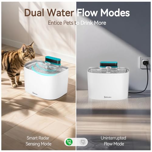 Cat Water Fountain