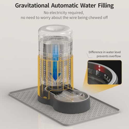 Cat Water Dispenser with Filter and Stainless Steel Bowl